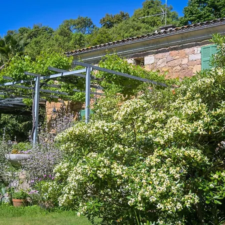 Holiday home Teresa - Garden Terrace Splendid View - By Tgb Ocana