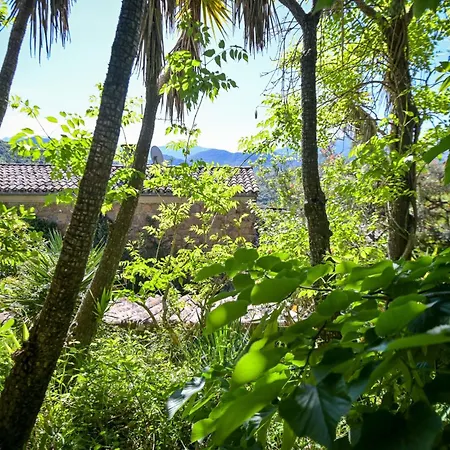 Teresa - Garden Terrace Splendid View - By Tgb * Ocana